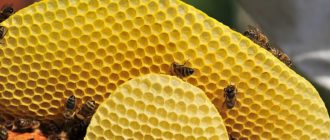 Применение пчелиного воска