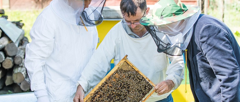 Профессия пчеловод