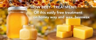 Бипин — за и против